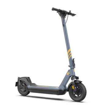 New selling electric scooter for adult 350W 36v